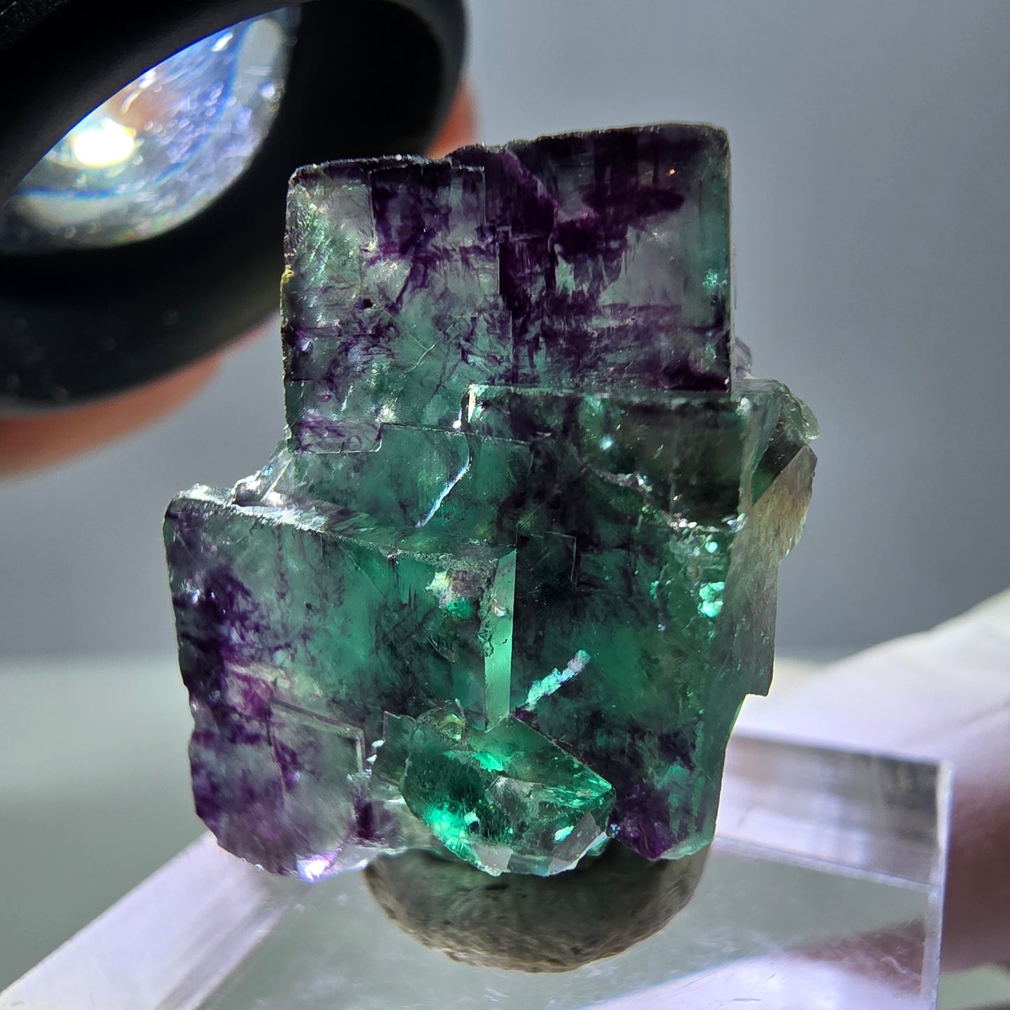 Phantom Fluorit Würfel Stufe, parkettiert grün lila Okorusu, Namibia 26*18*13mm