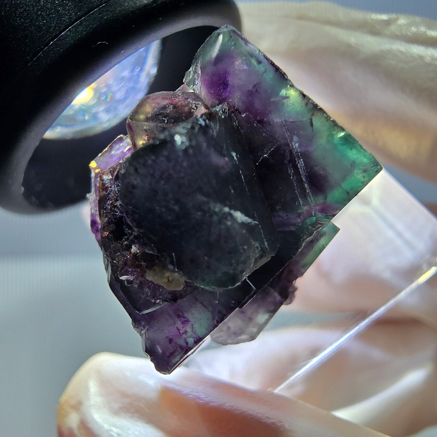 Phantom Fluorit Würfel Stufe, parkettiert grün lila Okorusu, Namibia 27*19*16mm