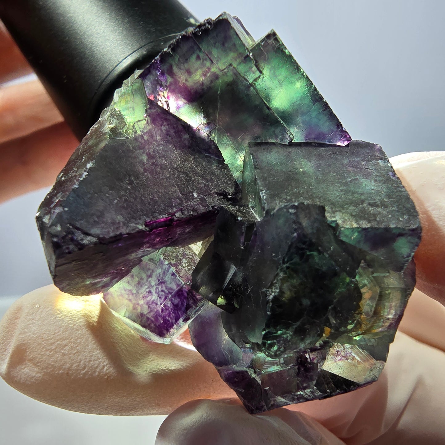Spécimen de cube de fluorite fantôme parqueté vert violet Okorusu, Namibie 47*36*22mm