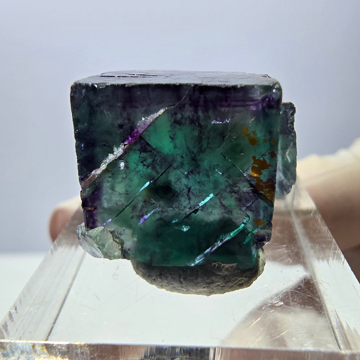 Phantom Fluorit Würfel Stufe, parkettiert grün lila Okorusu, Namibia 20*16*15mm