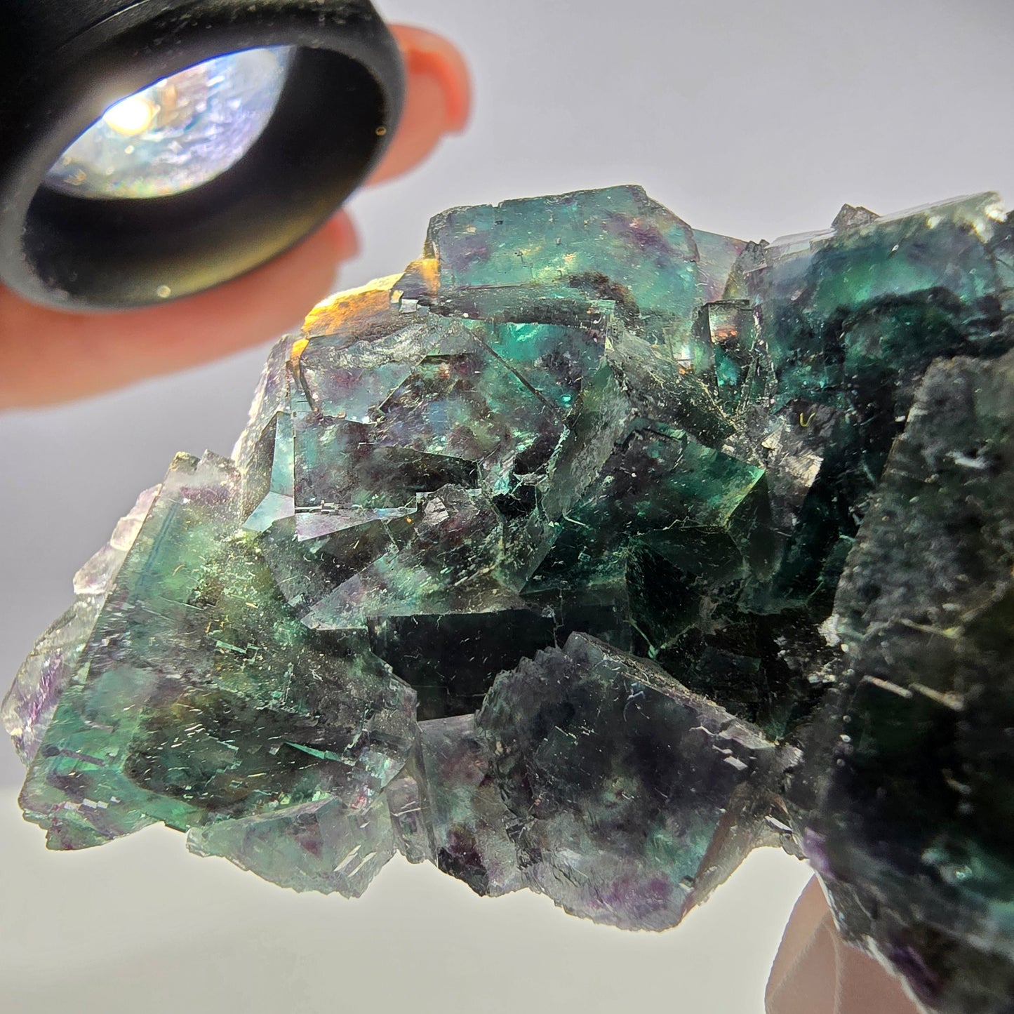 Spécimen de cube de fluorite fantôme, parqueté vert-brun Okorusu, Namibie 89 x 42 x 26 mm
