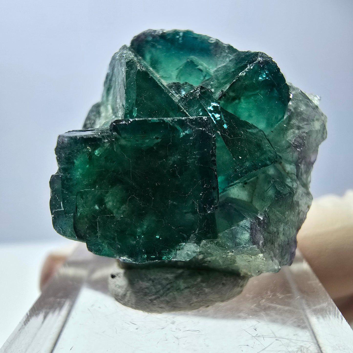 Phantom Fluorit Würfel Stufe, grün parkettiert Okorusu, Namibia 27*27*17mm