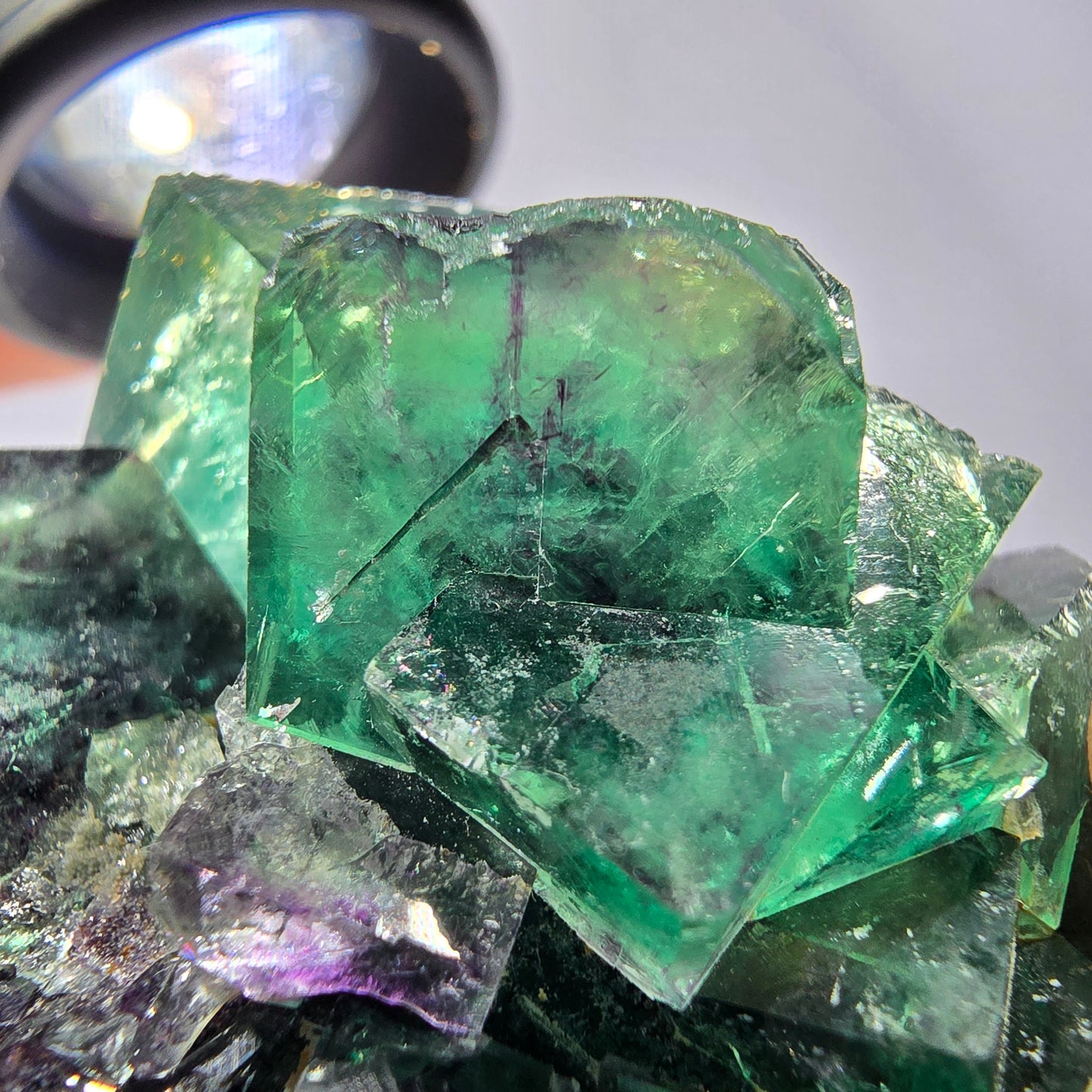 Spécimen de cube de fluorite fantôme, parqueté vert violet Okorusu, Namibie 50*43*30 mm