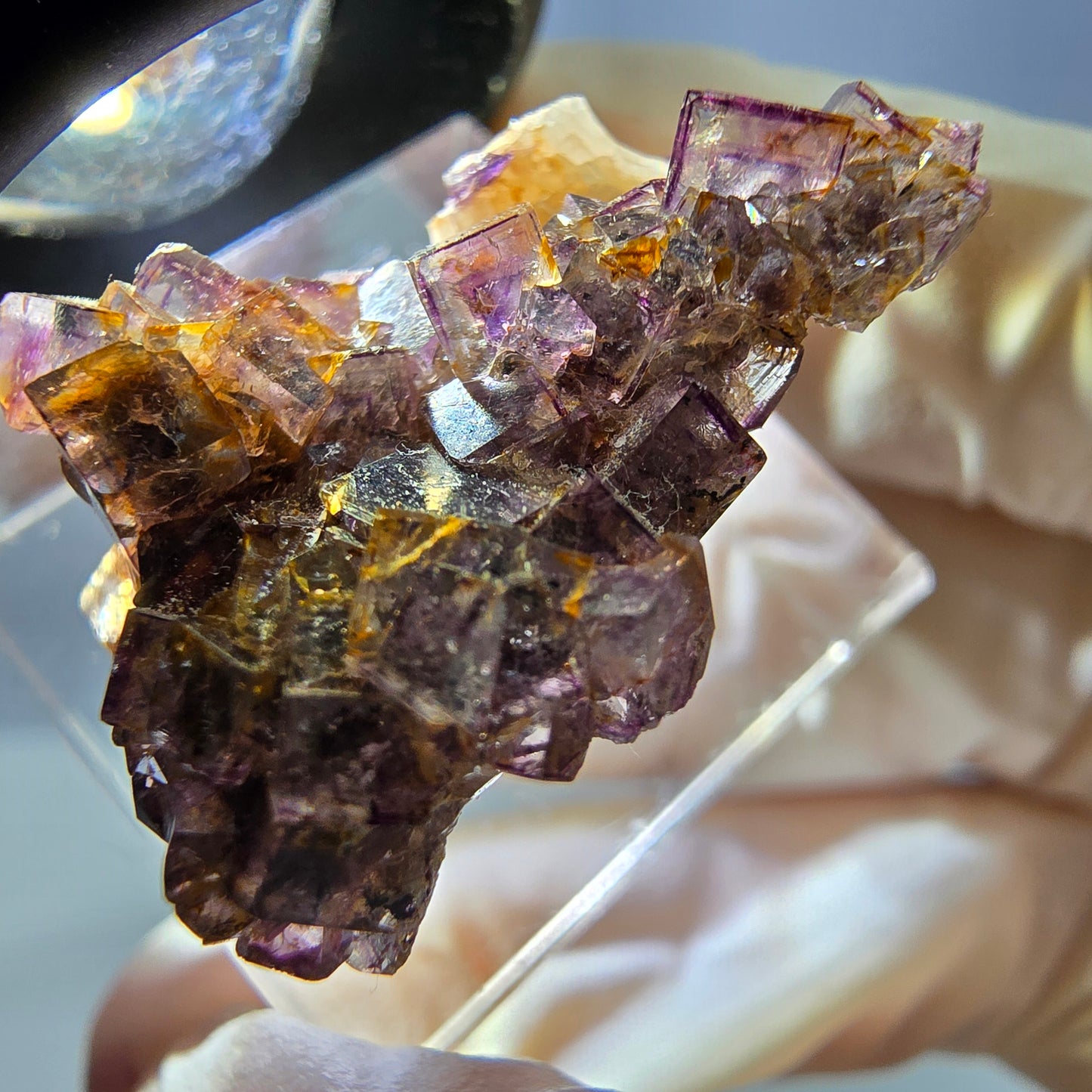 Spécimen de cube de fluorite fantôme, violet-jaune, Okorusu, Namibie, 36 x 27 x 15 mm