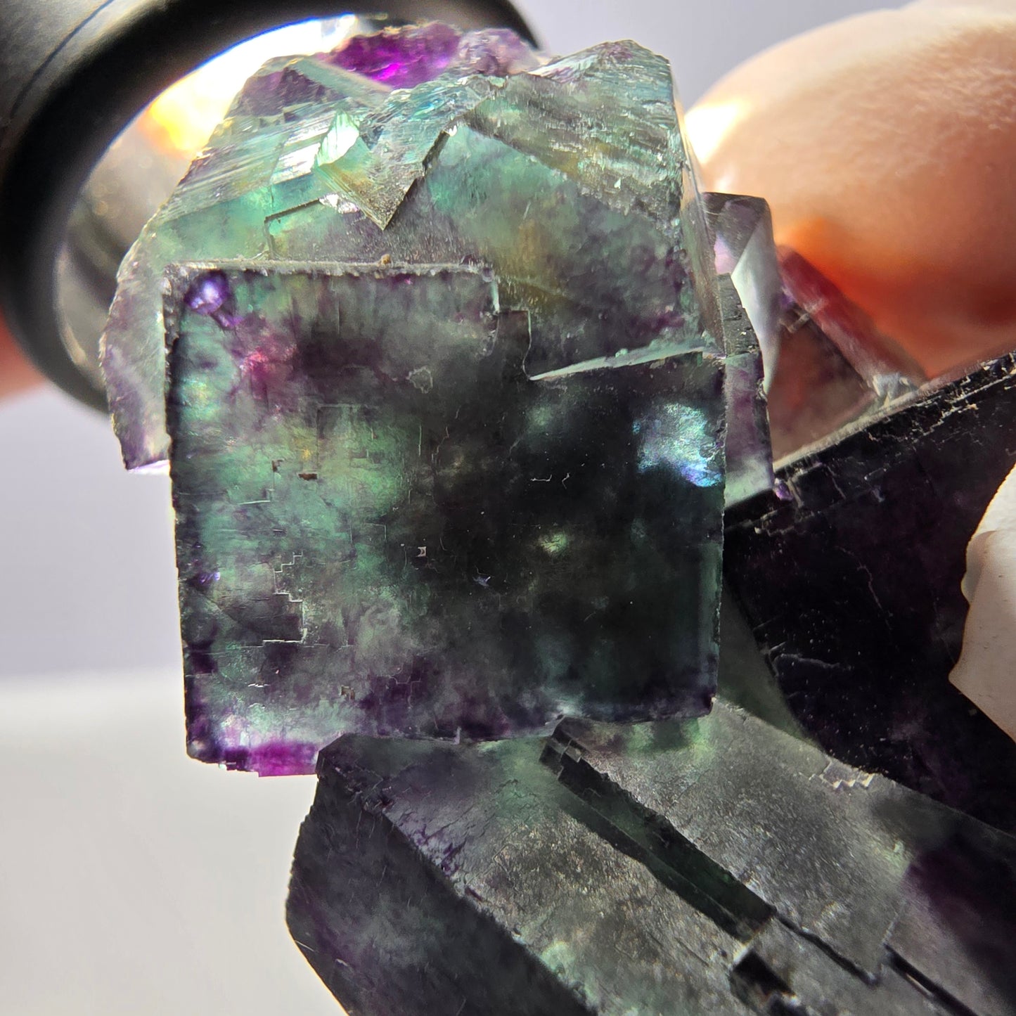 Spécimen de cube de fluorite fantôme parqueté vert violet Okorusu, Namibie 47*36*22mm