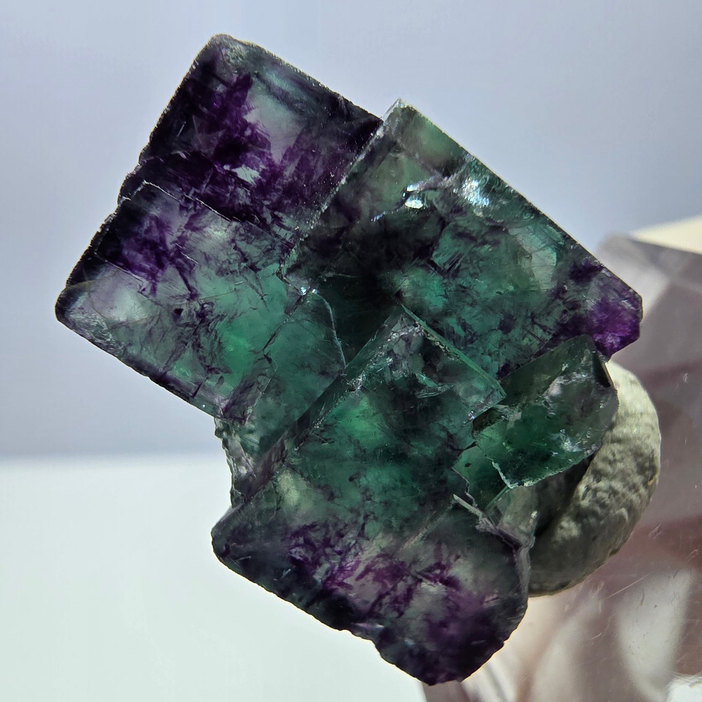 Phantom Fluorit Würfel Stufe, parkettiert grün lila Okorusu, Namibia 26*18*13mm