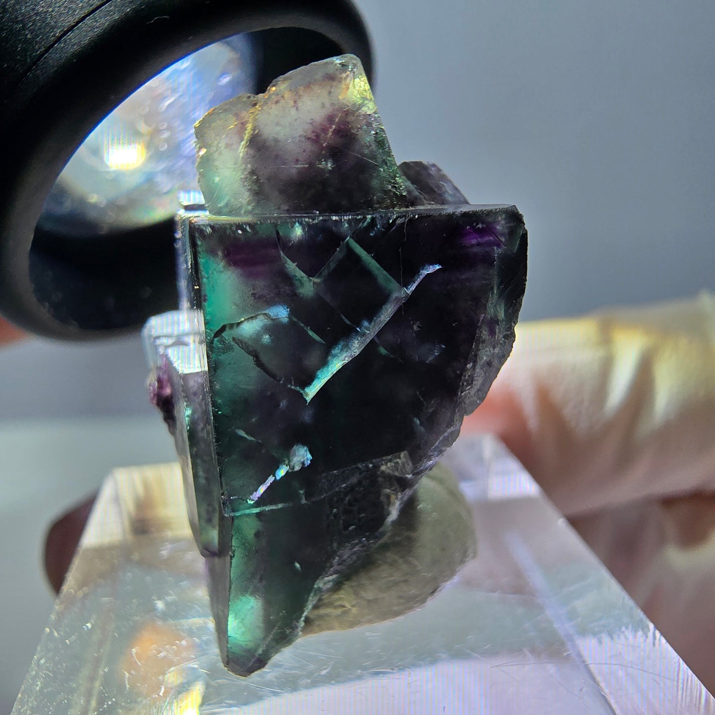 Phantom Fluorit Würfel Stufe, parkettiert grün lila Okorusu, Namibia 27*19*16mm