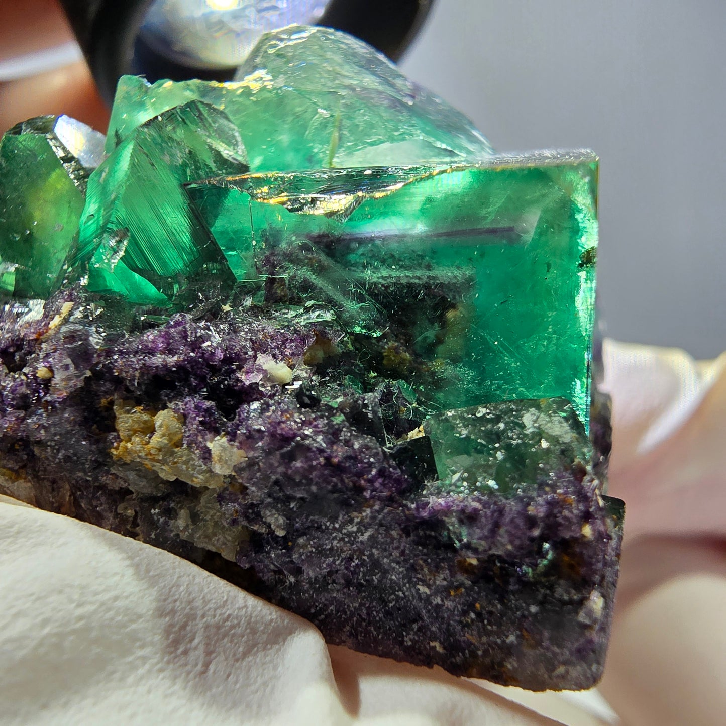 Spécimen de cube de fluorite fantôme, parqueté vert violet Okorusu, Namibie 50*43*30 mm