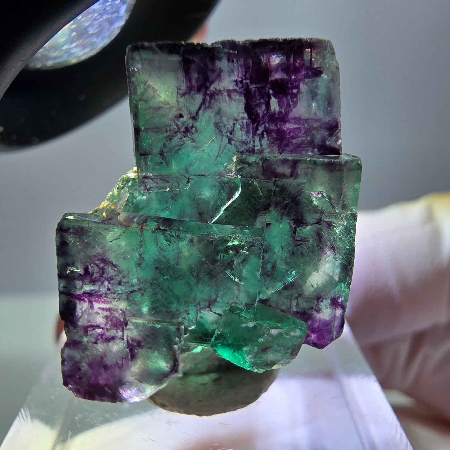 Phantom Fluorit Würfel Stufe, parkettiert grün lila Okorusu, Namibia 26*18*13mm