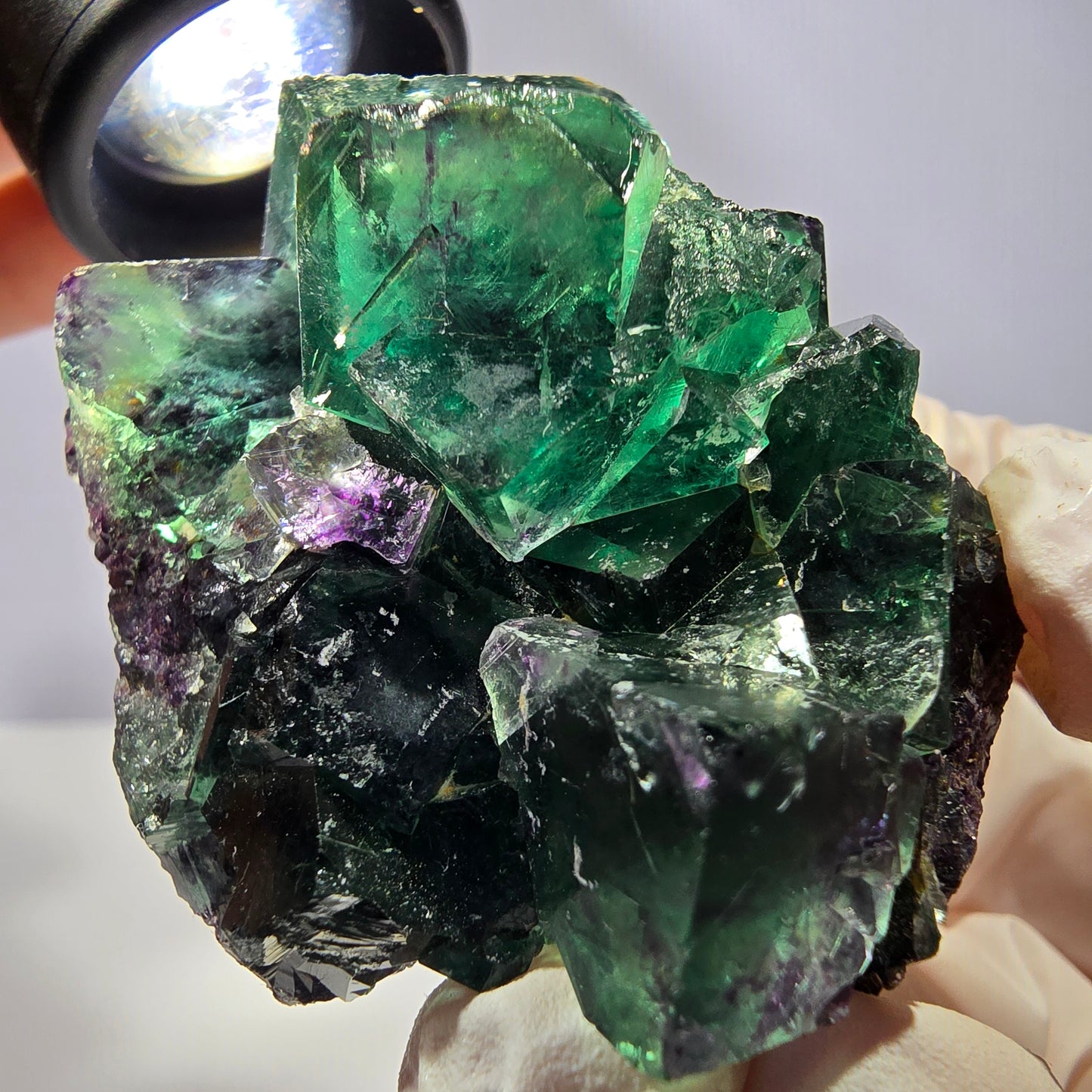 Spécimen de cube de fluorite fantôme, parqueté vert violet Okorusu, Namibie 50*43*30 mm