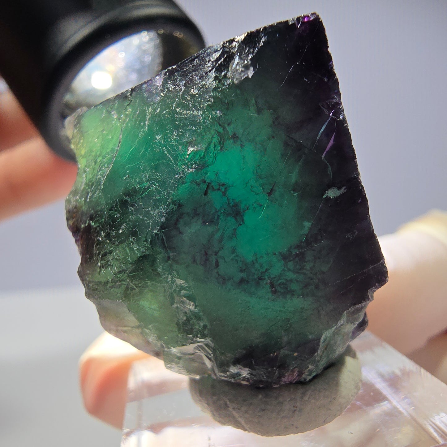 Rare cube de fluorite fantôme parqueté vert violet Okorusu Namibie 31*27*21mm