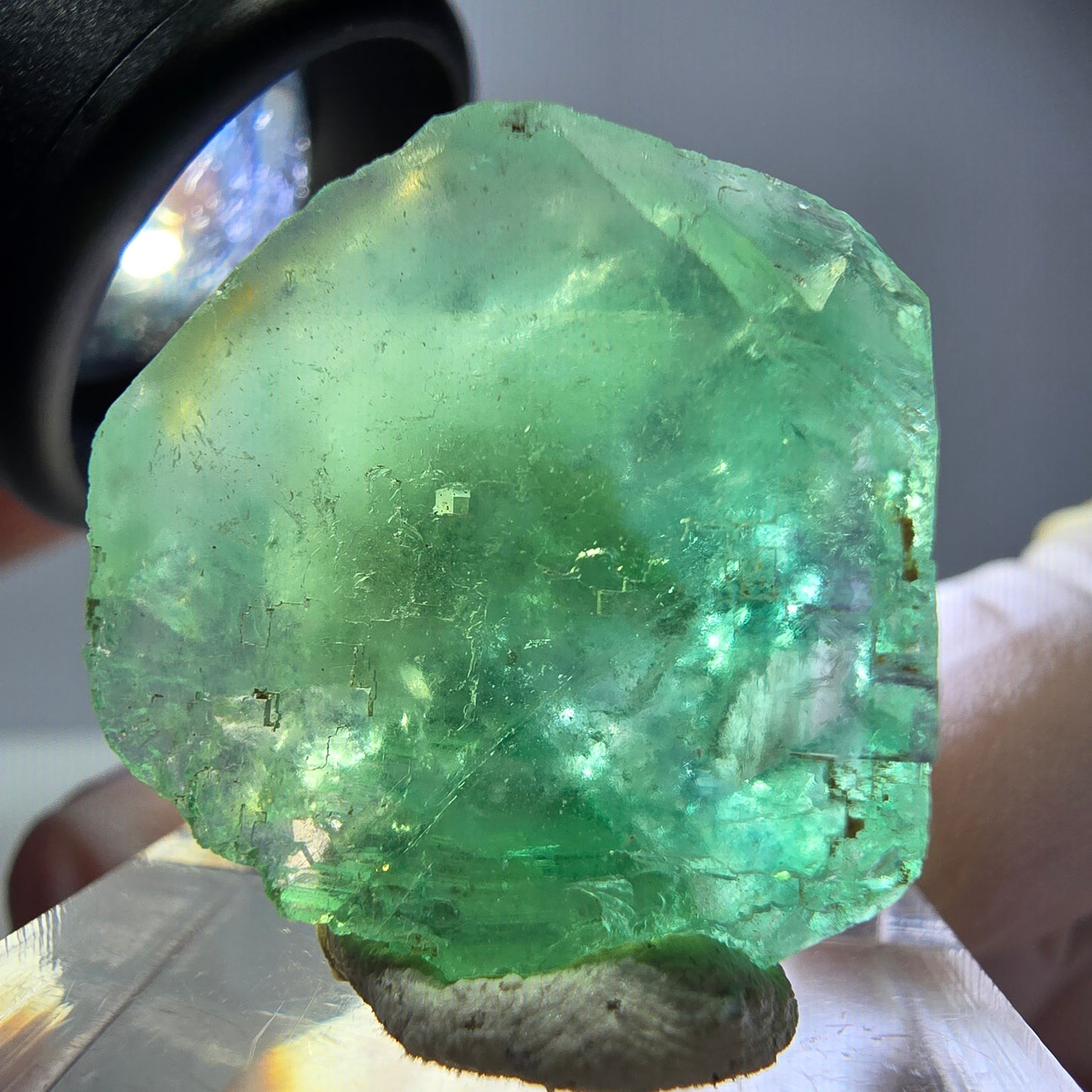 Cube de fluorite fantôme transparente parquetée, vert Okorusu, Namibie 23 x 23 x 17 mm