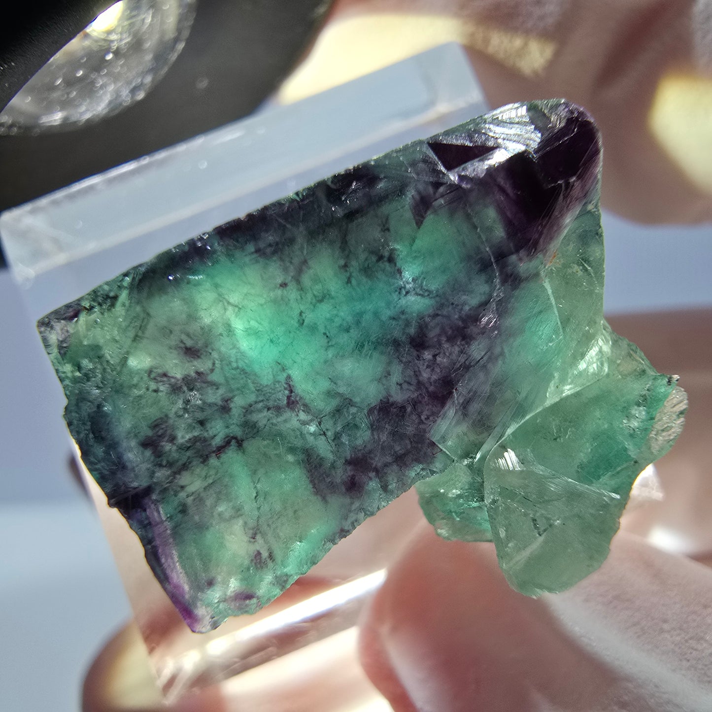 Spécimen de cube de fluorite fantôme, parqueté vert violet Okorusu, Namibie 21*18*16 mm