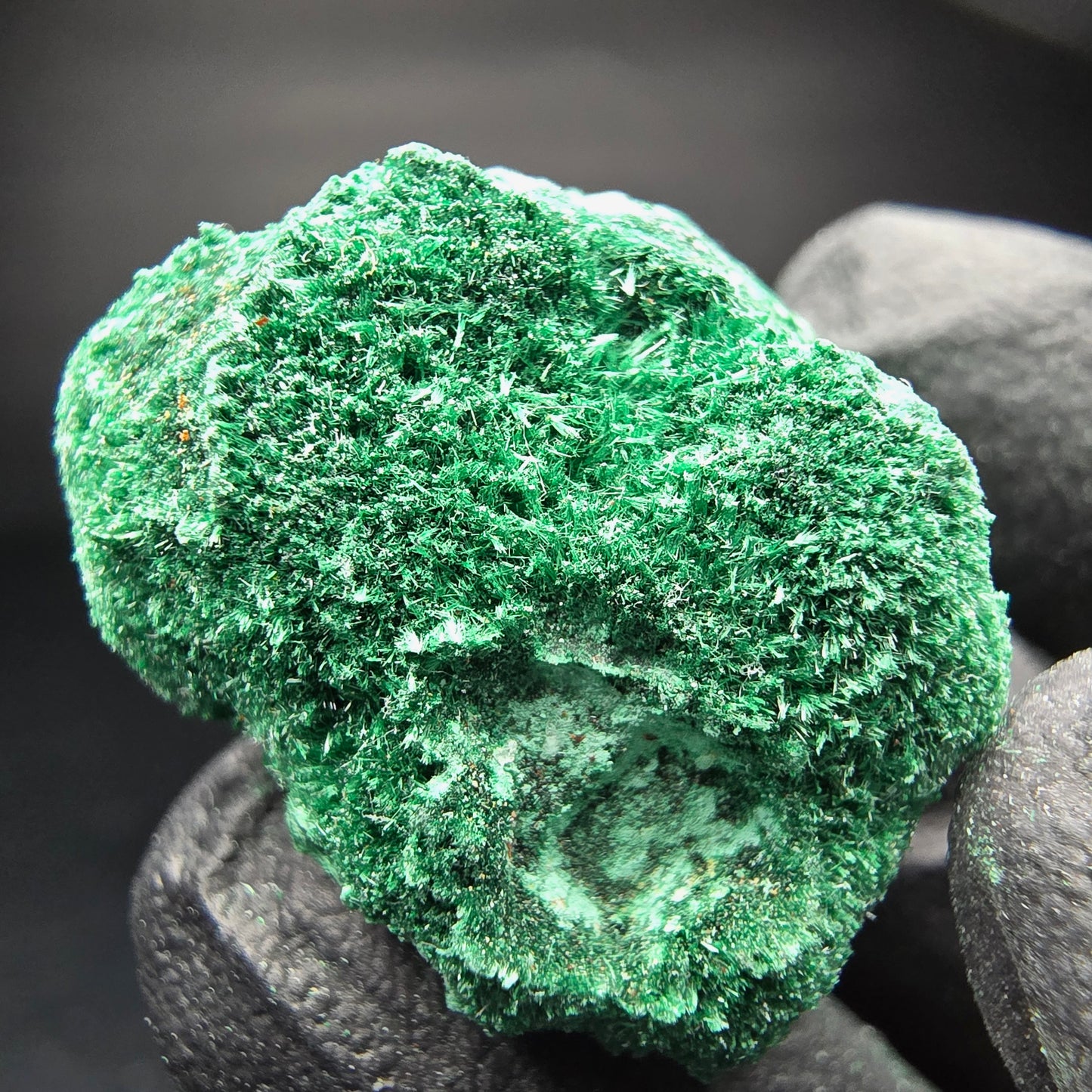 Spécimen rare de malachite, Kaokoveld vert, collection minérale namibie 24*22*16mm