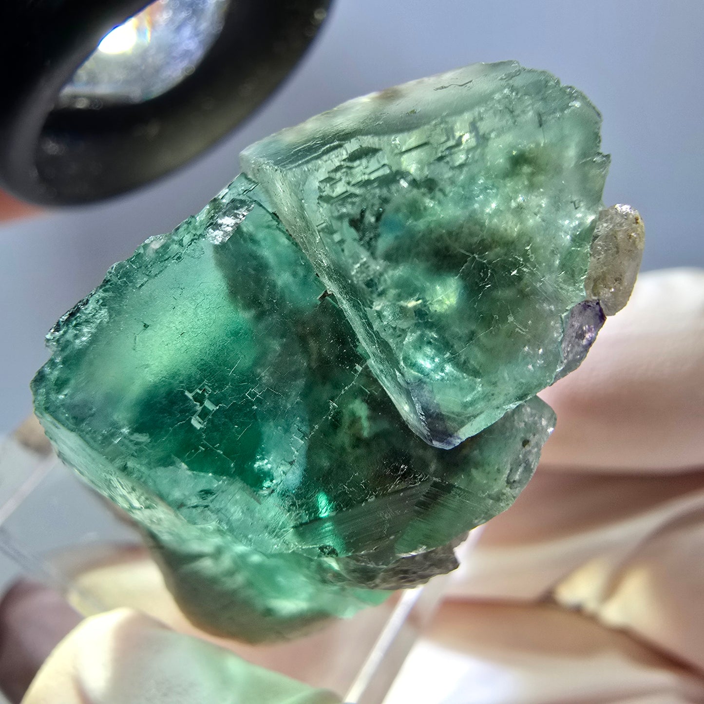 Spécimen de cube de fluorite fantôme, parquet vert Okorusu, Namibie 29 x 22 x 19 mm