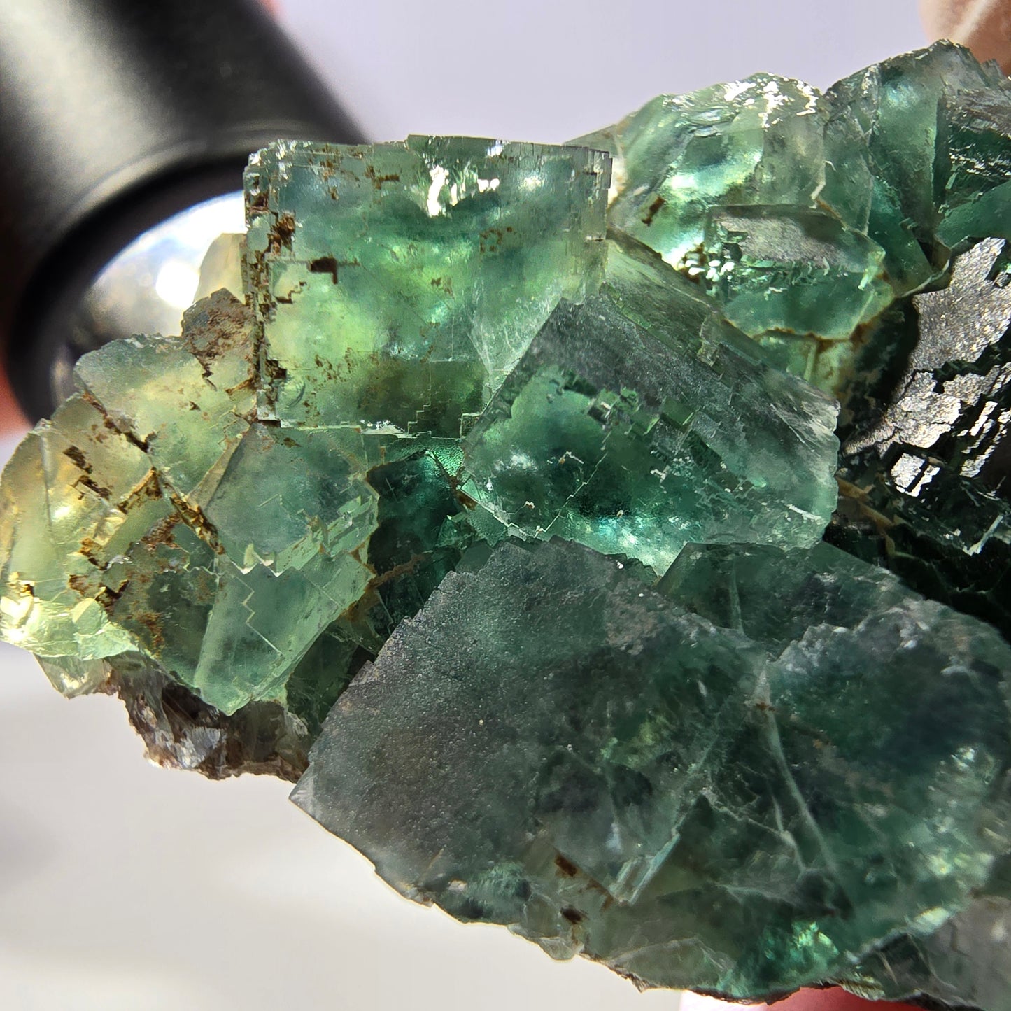 Spécimen de cube de fluorite fantôme transparente, vert parqueté, Okorusu, Namibie, 57 x 44 x 19 mm