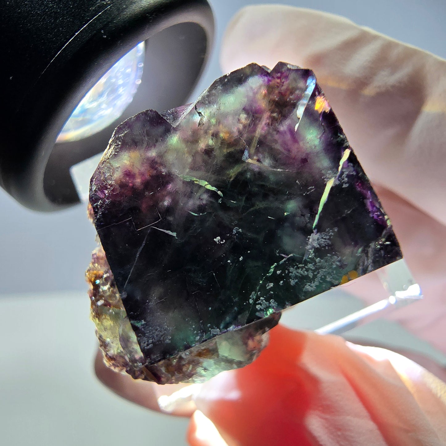 Rare cube de fluorite fantôme parqueté vert violet Okorusu Namibie 25*19*16mm