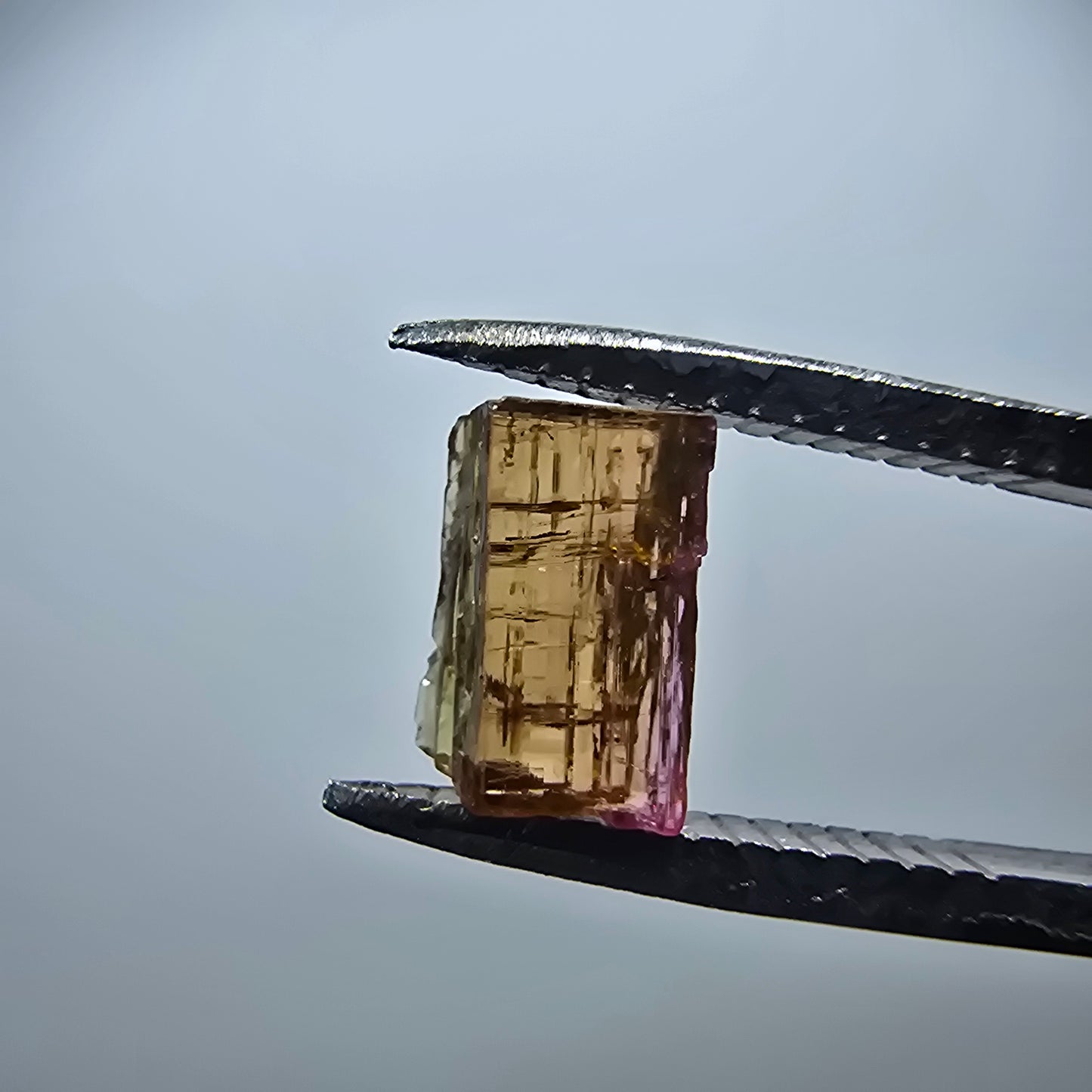 Seltener Elbait Turmalin Kristall, grün rosa Minas Gerais, Brasilien 7*5*2mm