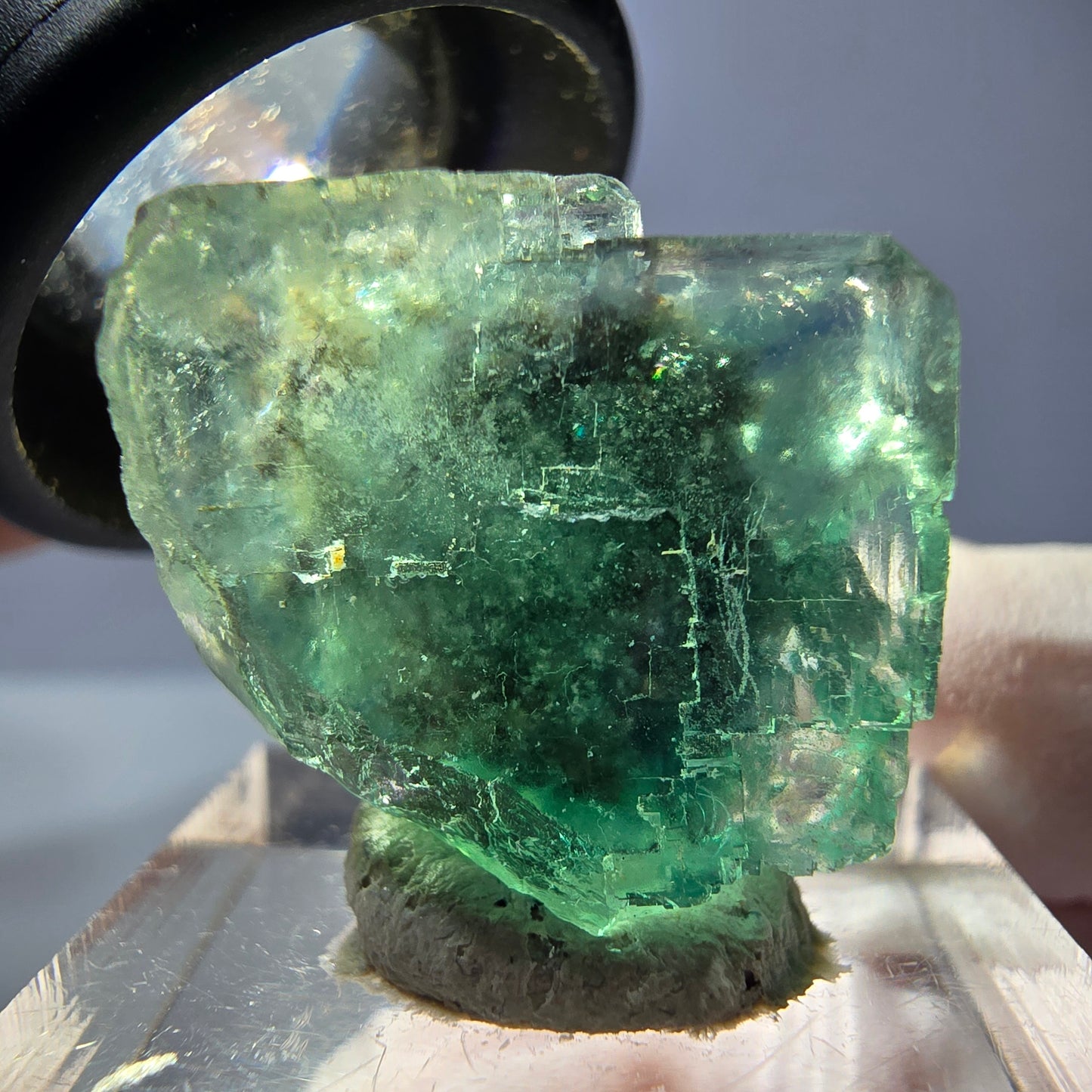 Cube de fluorite fantôme transparente parquetée, vert Okorusu, Namibie 20 x 19 x 15 mm