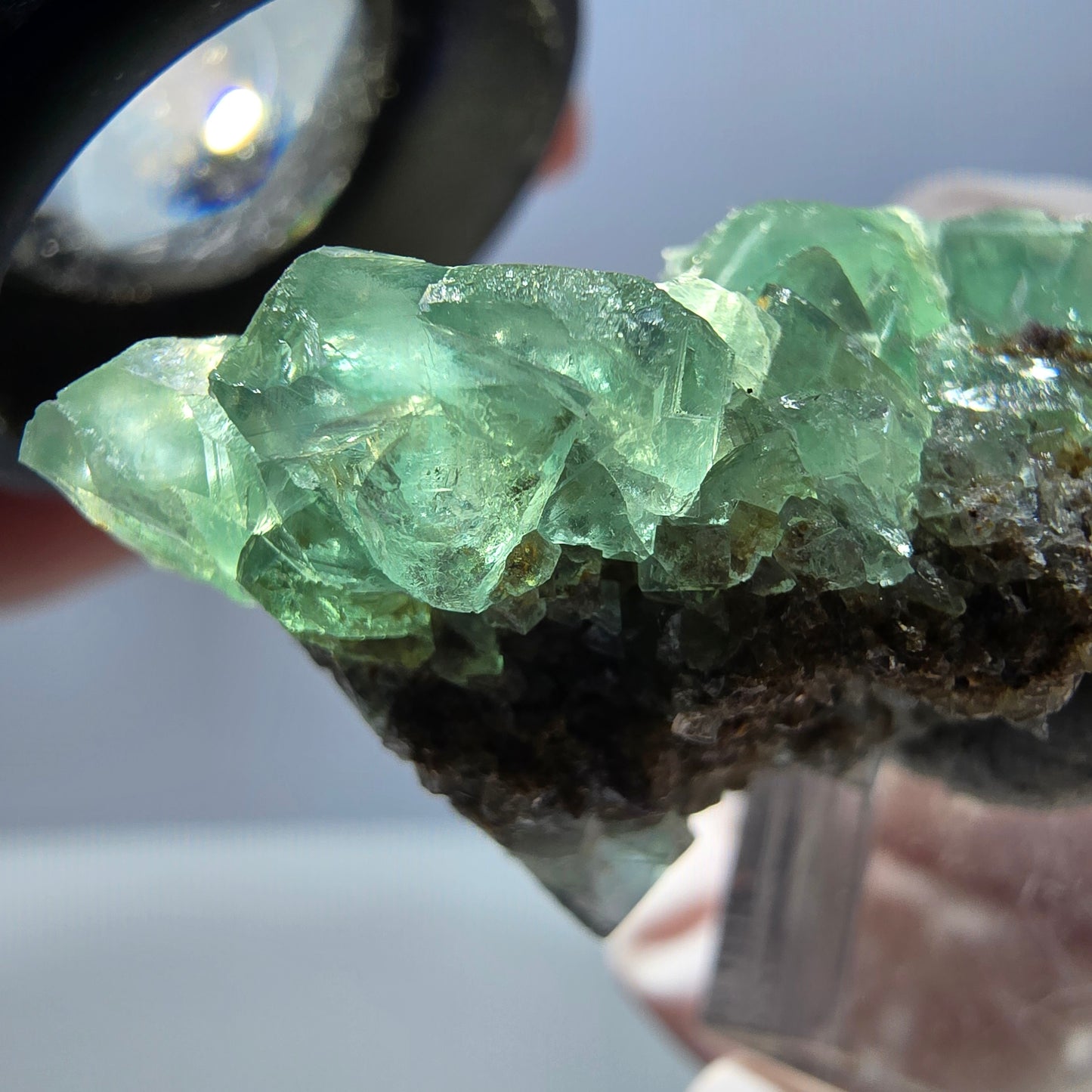 Spécimen de cube de fluorite fantôme, vert violet, Okorusu, Namibie, 32 x 20 x 18 mm