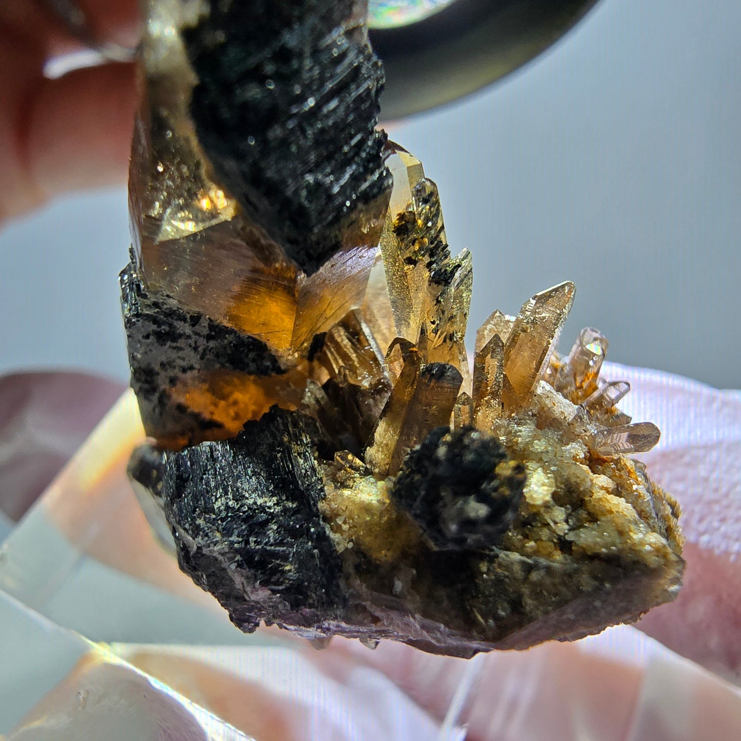 Rare spécimen de tourmaline Schorl et de quartz fumé, Erongo, Namibie, 36 x 27 x 22 mm