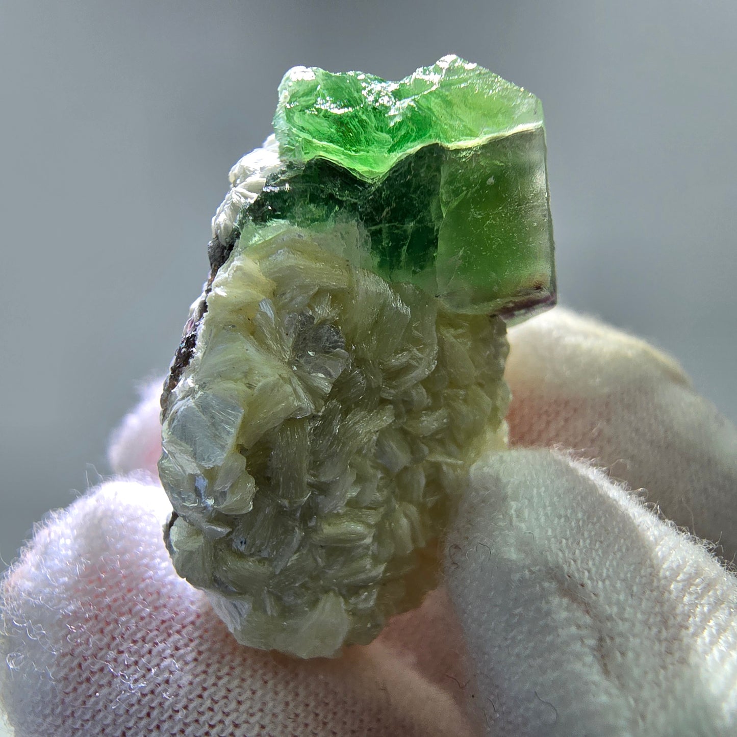 Phantom Fluorit Würfel, Muskovit Stufe Erongo, Namibia 28*21*18mm Sammlung