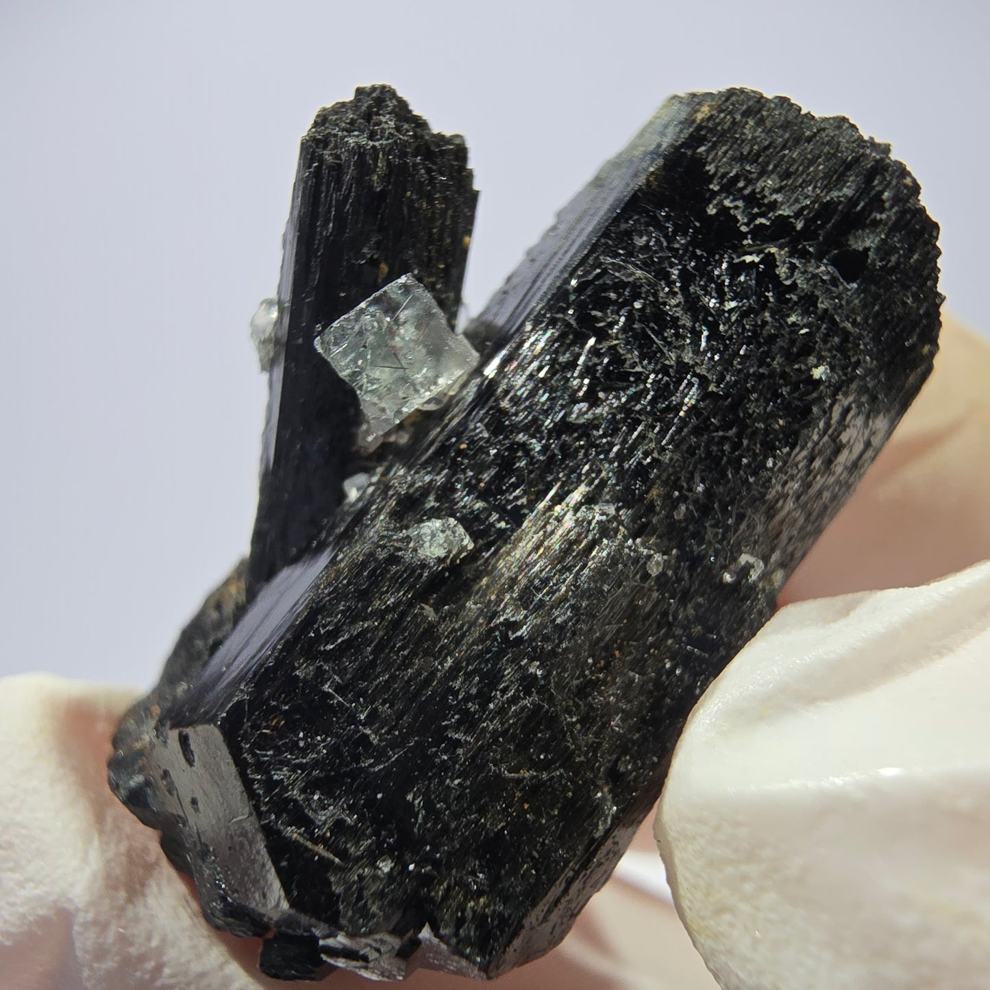 Rare spécimen de tourmaline Schorl et de fluorite cubique, Erongo, Namibie, 32 x 21 x 14 mm