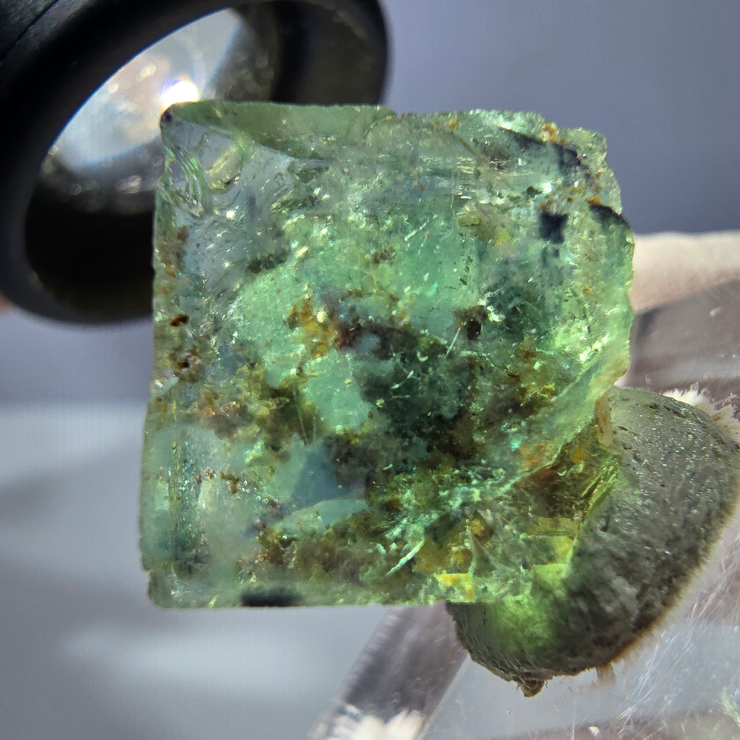 Cube de fluorite fantôme transparente parquetée, vert Okorusu, Namibie 16 x 15 x 13 mm