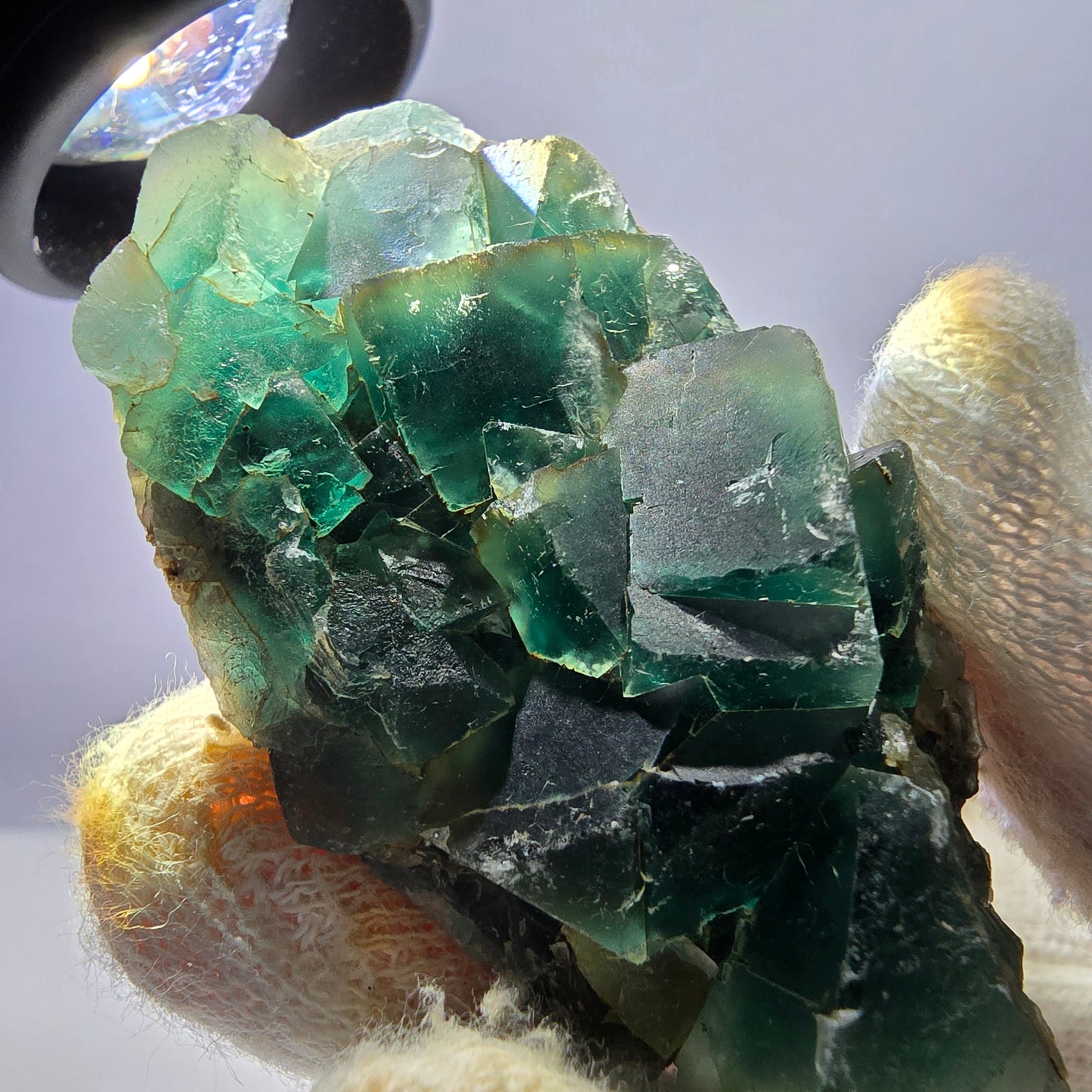 Spécimen rare de cube de fluorite fantôme, vert Okorusu Namibie 56 x 31 x 17 mm