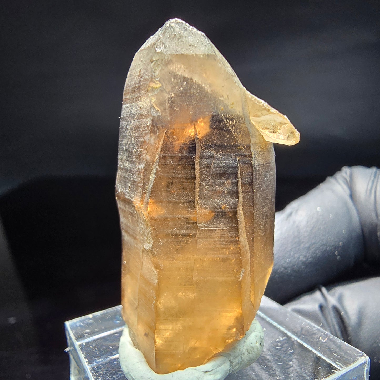 Seltene klare Rauchquarz mit Hyalit Spitze Erongo, Namibia 39*21*17mm Sammlung