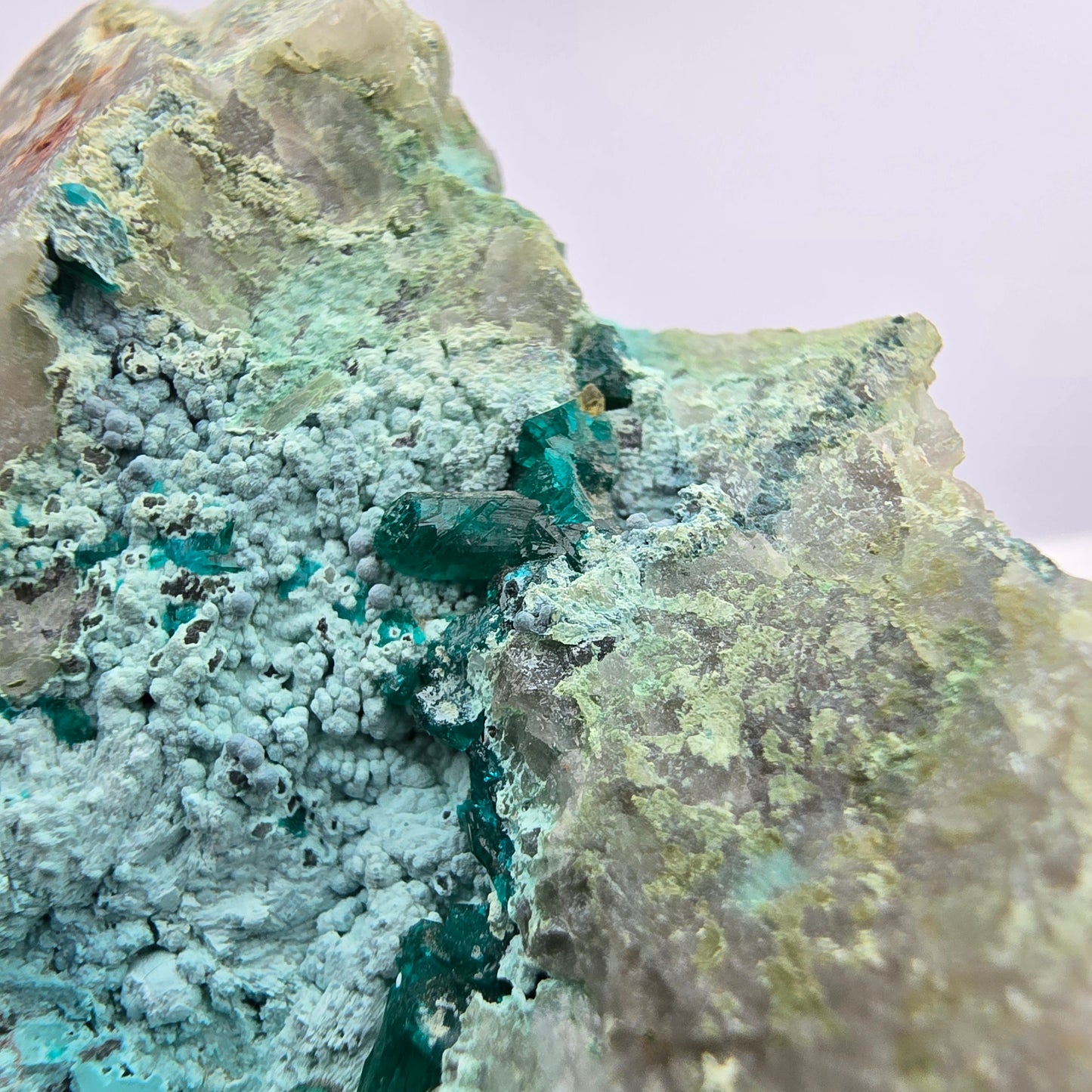 Rare spécimen de dioptase, chrysocolle sur quartz, Kaokoveld, Namibie, 68 x 41 x 38 mm
