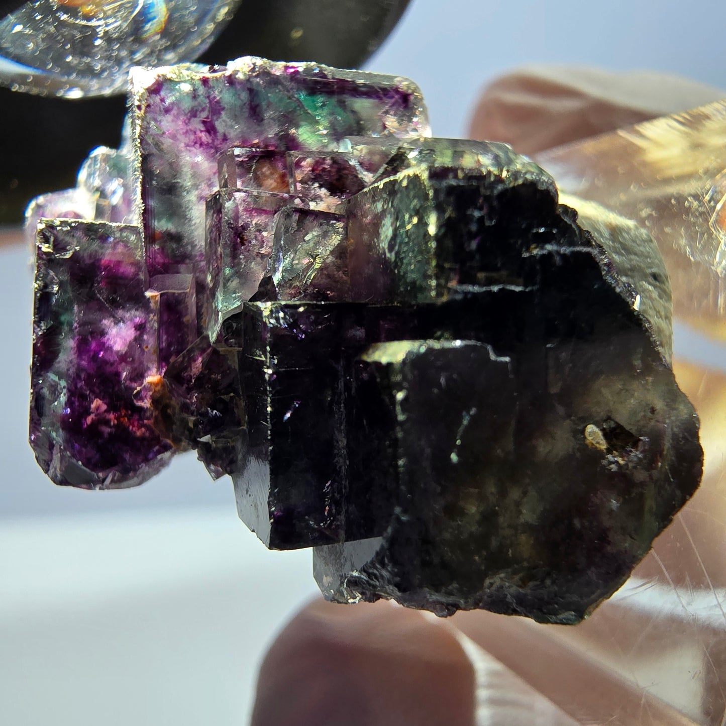 Spécimen de cube de fluorite fantôme, parqueté vert violet Okorusu, Namibie 34*24*19 mm