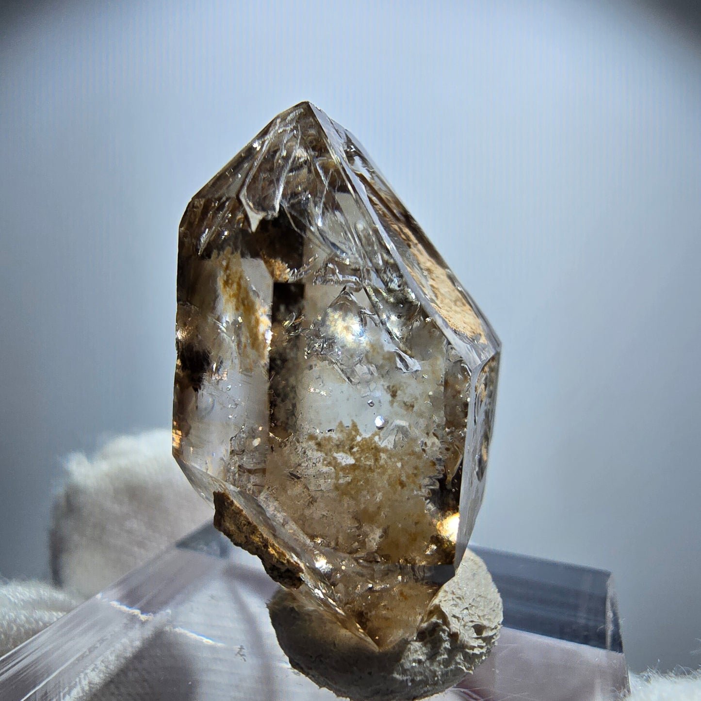 Enhydro Phantom Rauchquarz Fenster Zepter, 2x Blase Goboboseb Namibia 26*21*14mm