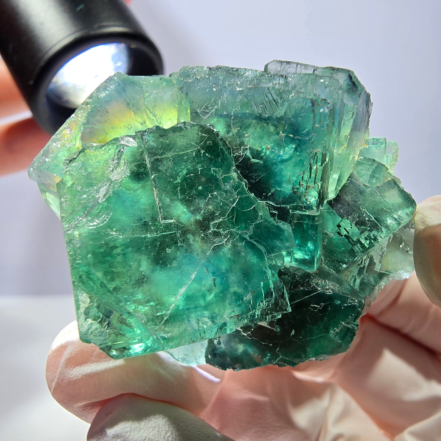 Spécimen de cube de fluorite fantôme transparente, vert parqueté, Okorusu, Namibie, 48 x 36 x 21 mm