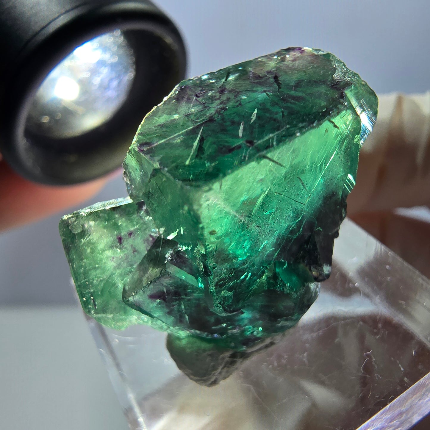 Spécimen de cube de fluorite fantôme, parqueté vert violet Okorusu, Namibie 29*18*14 mm