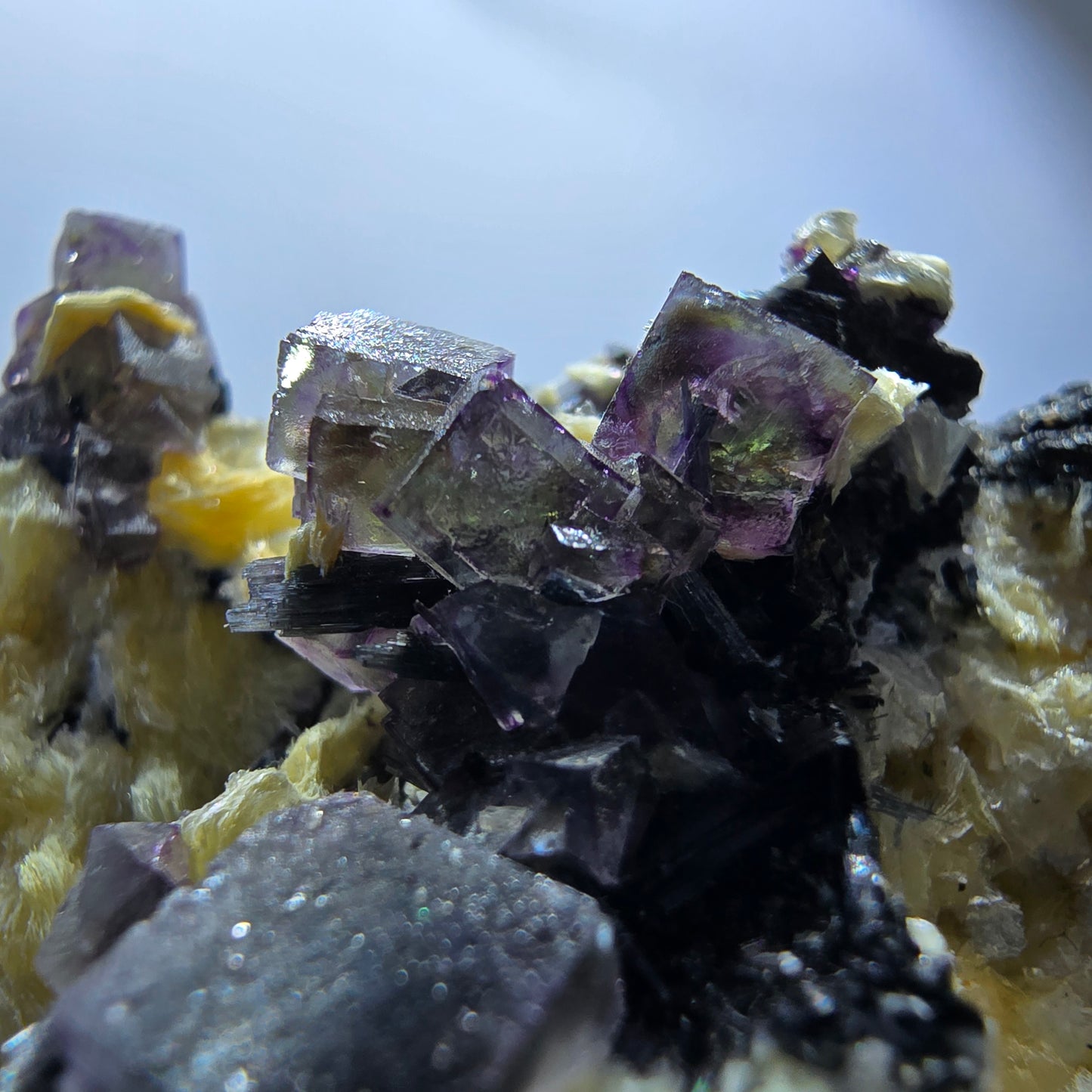 Cubes de fluorite fantôme colorés, tourmaline scholle muscovite, Erongo, Namibie, 61 x 60 x 29 mm