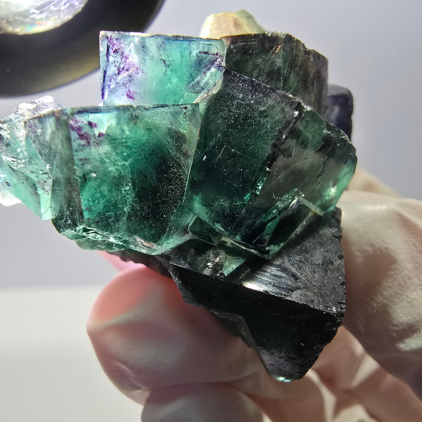 Spécimen de cube de fluorite fantôme parqueté vert violet Okorusu, Namibie 45*40*24 mm