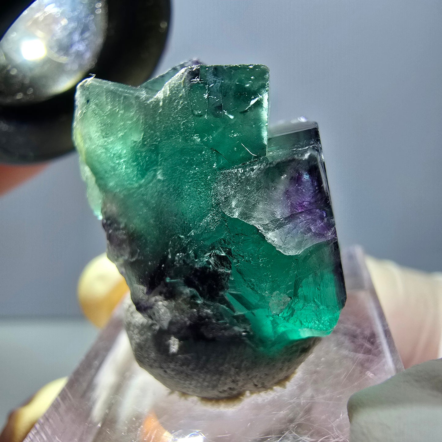Spécimen de cube de fluorite fantôme, parqueté vert violet Okorusu, Namibie 26*20*18 mm