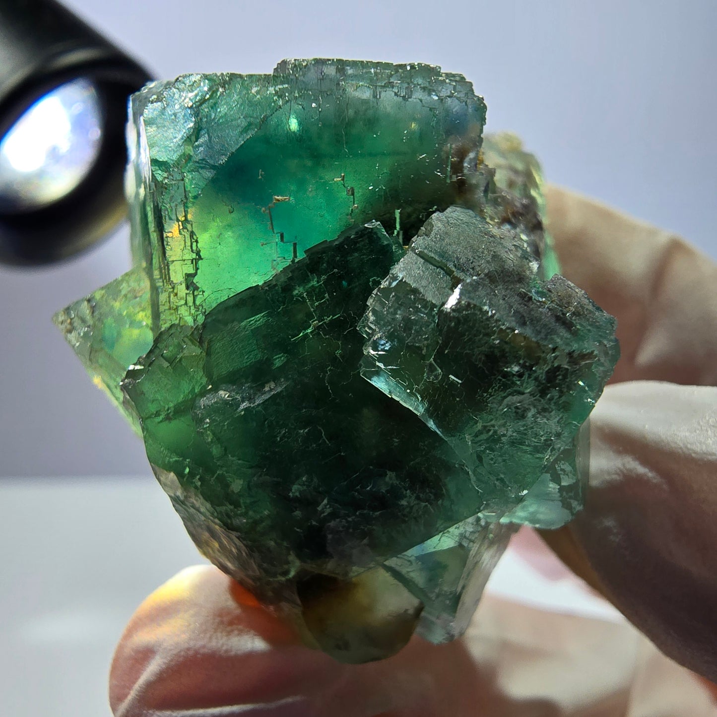 Spécimen de cube de fluorite fantôme transparente, vert parqueté, Okorusu, Namibie, 43 x 40 x 23 mm