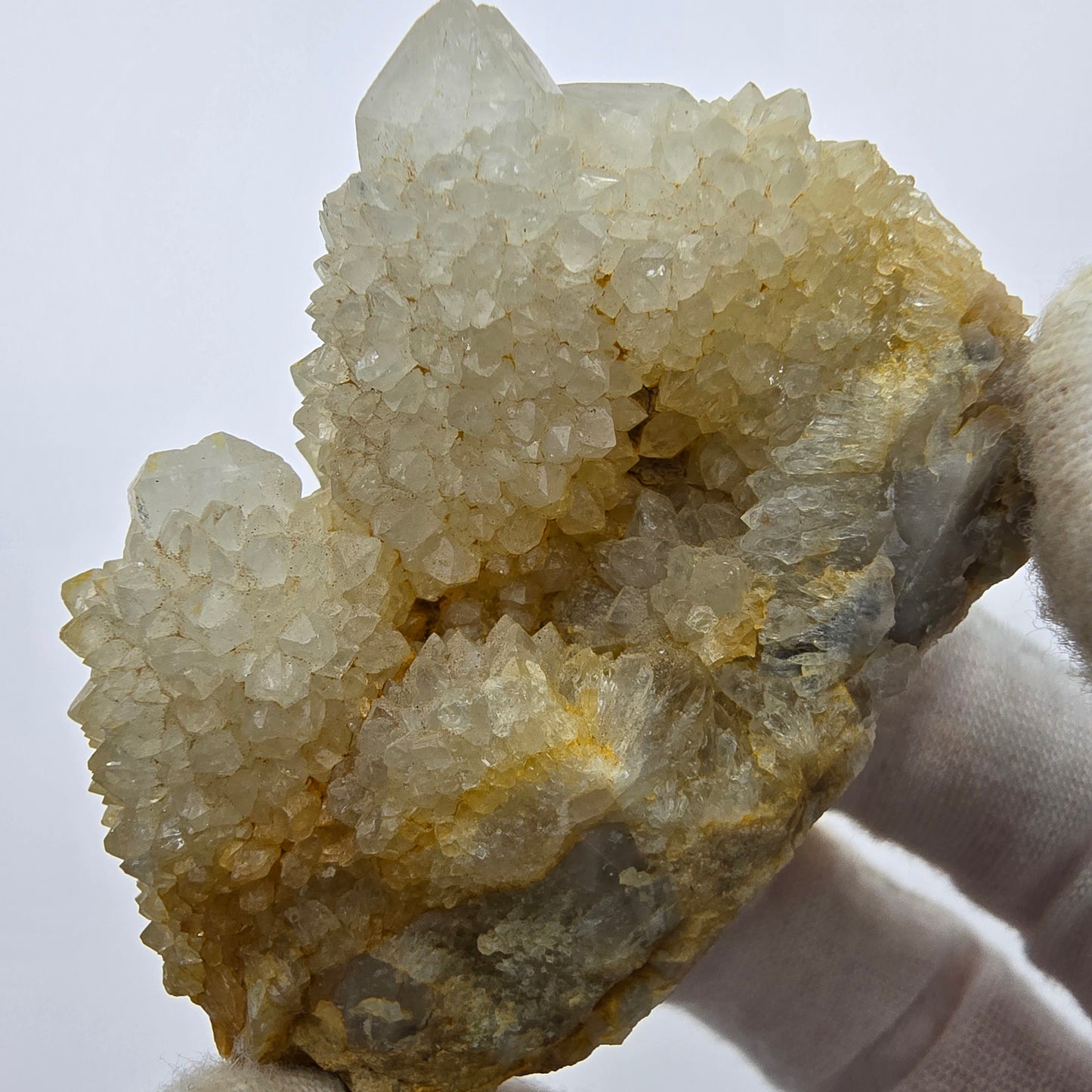 Kaktusquarz, Spirit Quarz XX Stufe Boekenhouthoek, Südafrika 55*37*29mm Sammlung