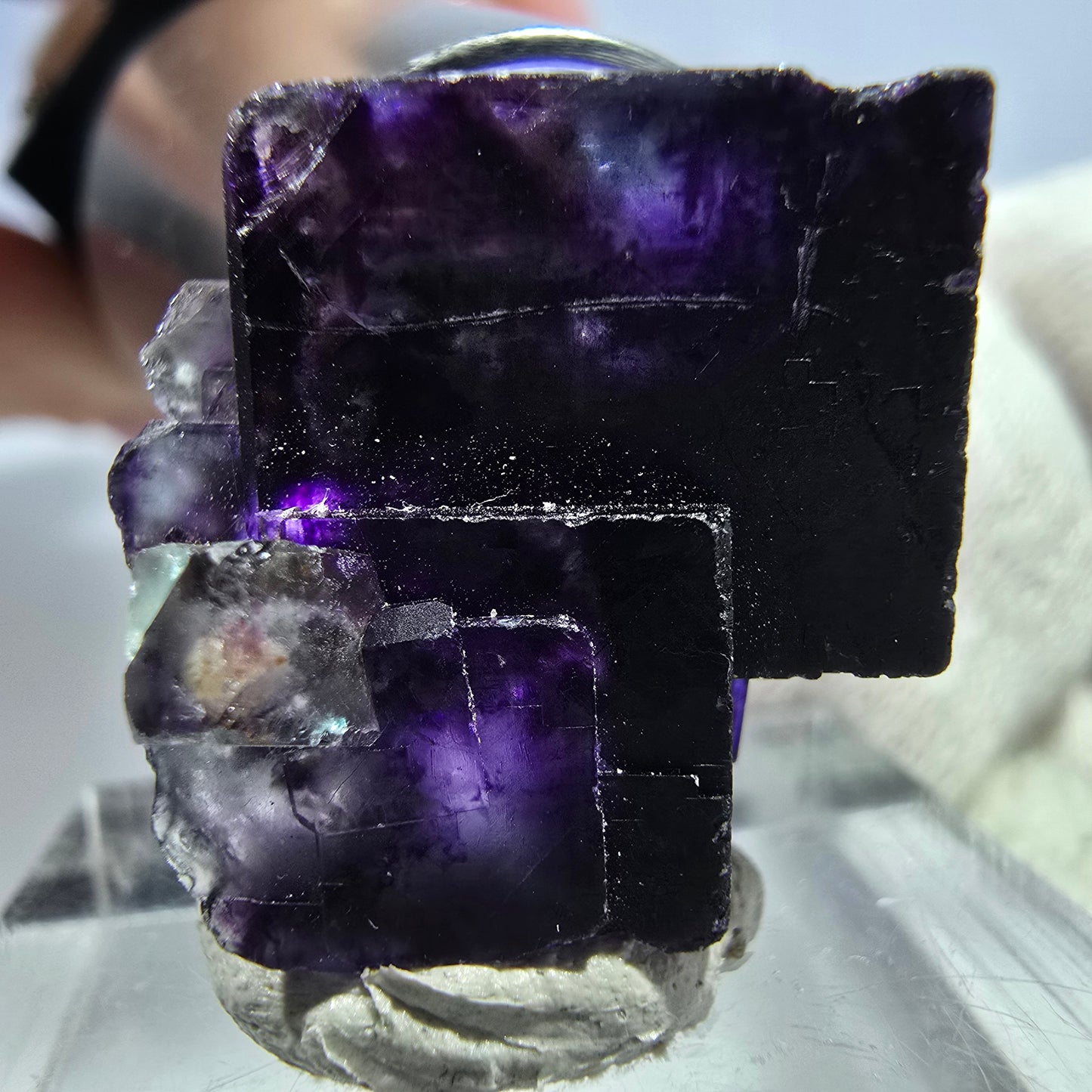 Spécimen rare de cube de fluorite fantôme, vert zonal et violet, Okorusu, Namibie, 24 x 24 x 19 mm