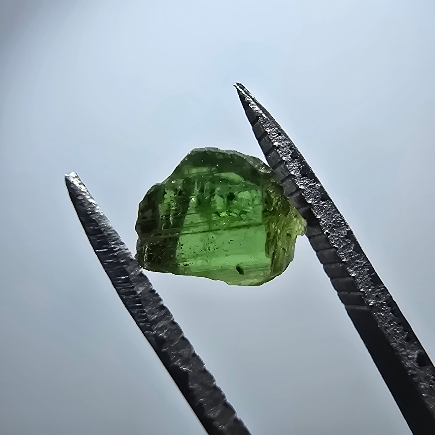 Cristal de tourmaline verdélite rare, vert Minas Gerais, Brésil #7985