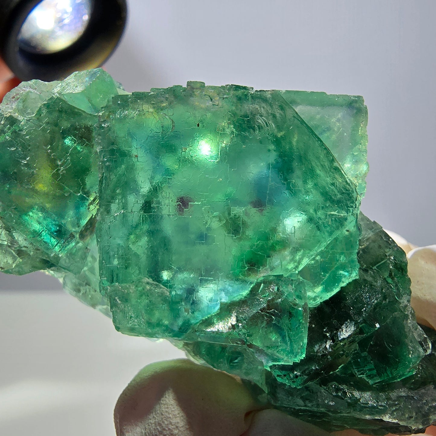 Spécimen de cube de fluorite fantôme transparente, vert parqueté, Okorusu, Namibie, 64 x 35 x 16 mm