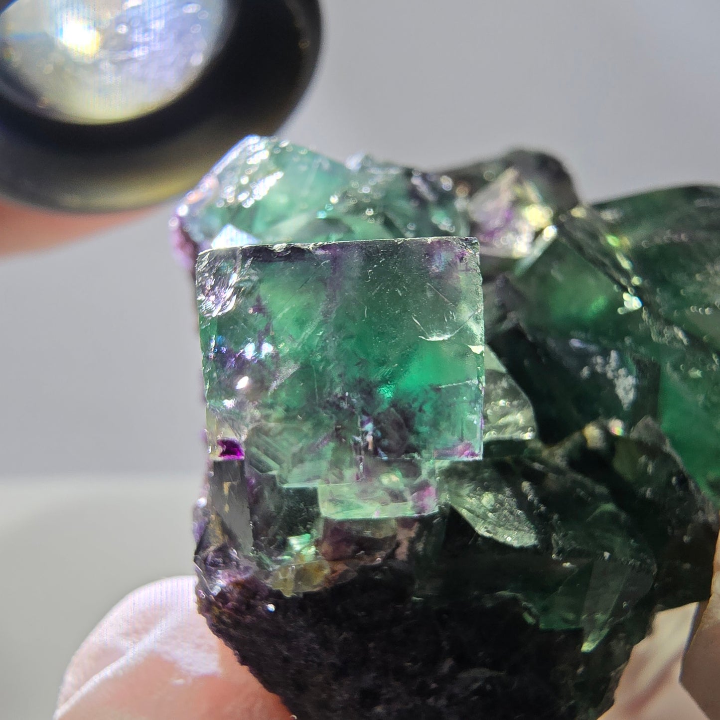 Spécimen de cube de fluorite fantôme, parqueté vert violet Okorusu, Namibie 50*43*30 mm
