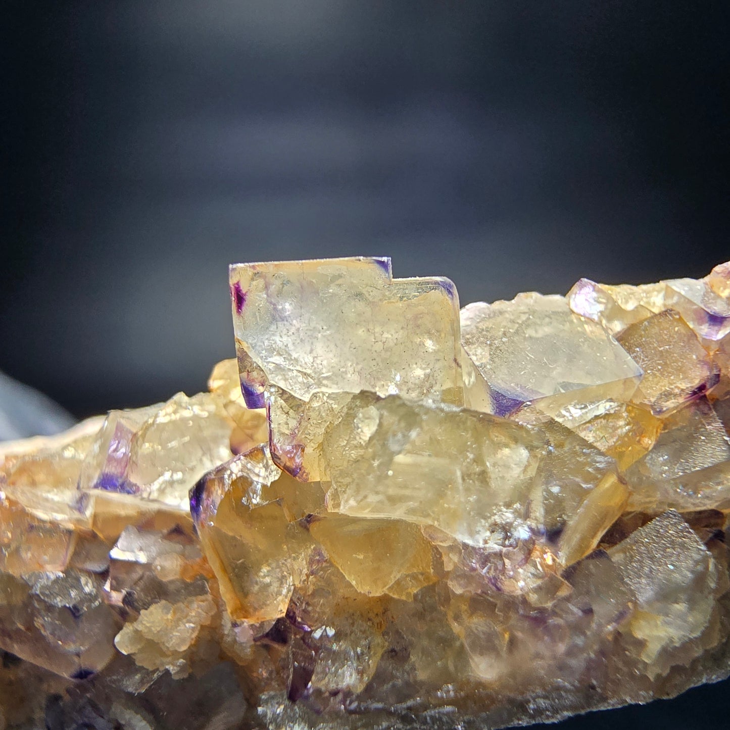 Zonare Fluorite Cube Tier Vert Violet Okorusu, Namibie 42*16*16mm Collection