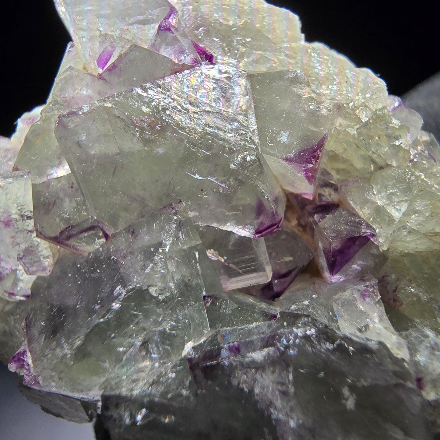 Zonare Fluorite Cube Tier Violet Vert Okorusu, Namibie 44*41*19mm Collection