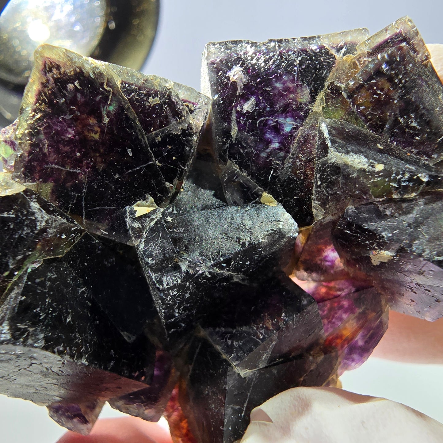 Rare spécimen de cube de fluorite fantôme, vert violet jaune Okorusu, Namibie 48 x 39 x 14 mm