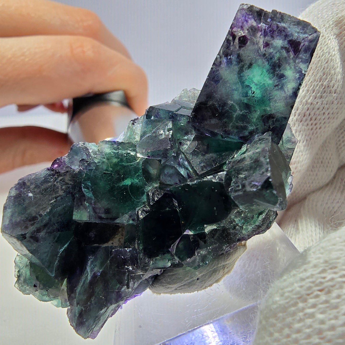 Spécimen de cube de fluorite fantôme transparente, vert-violet zonal, Okorusu, Namibie, 57 x 32 x 18 mm