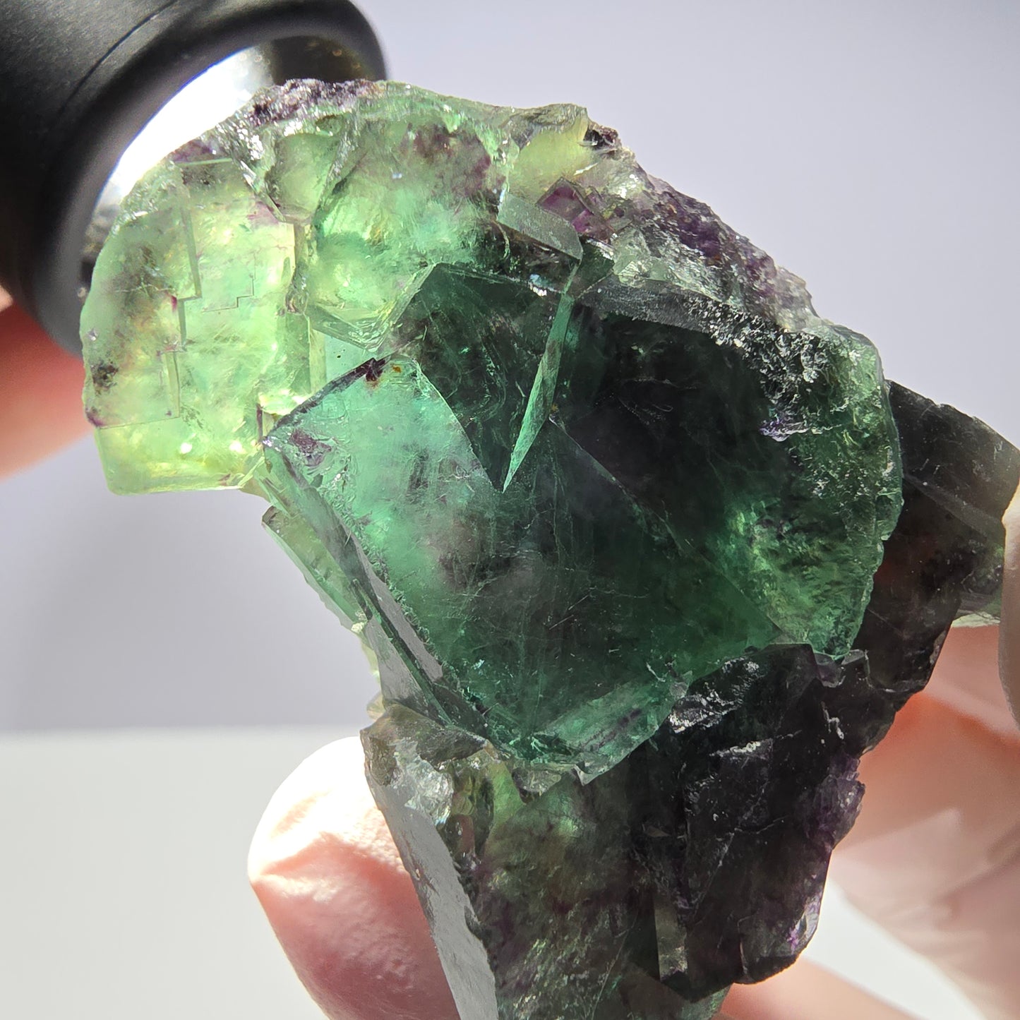 Spécimen de cube de fluorite fantôme parqueté vert violet Okorusu, Namibie 41*35*18mm