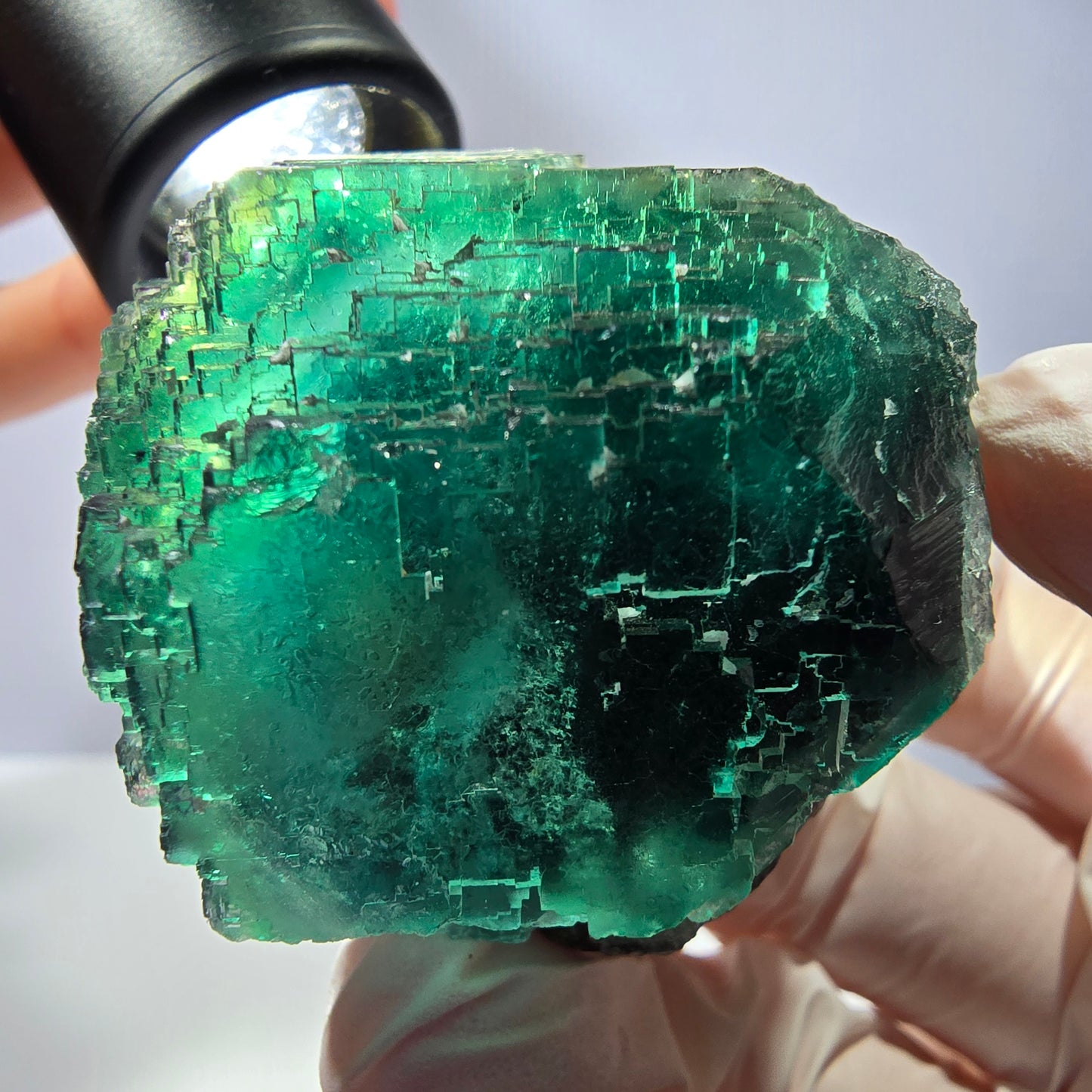 Spécimen de cube de fluorite fantôme transparente, vert parqueté, Okorusu, Namibie, 52 x 49 x 41 mm